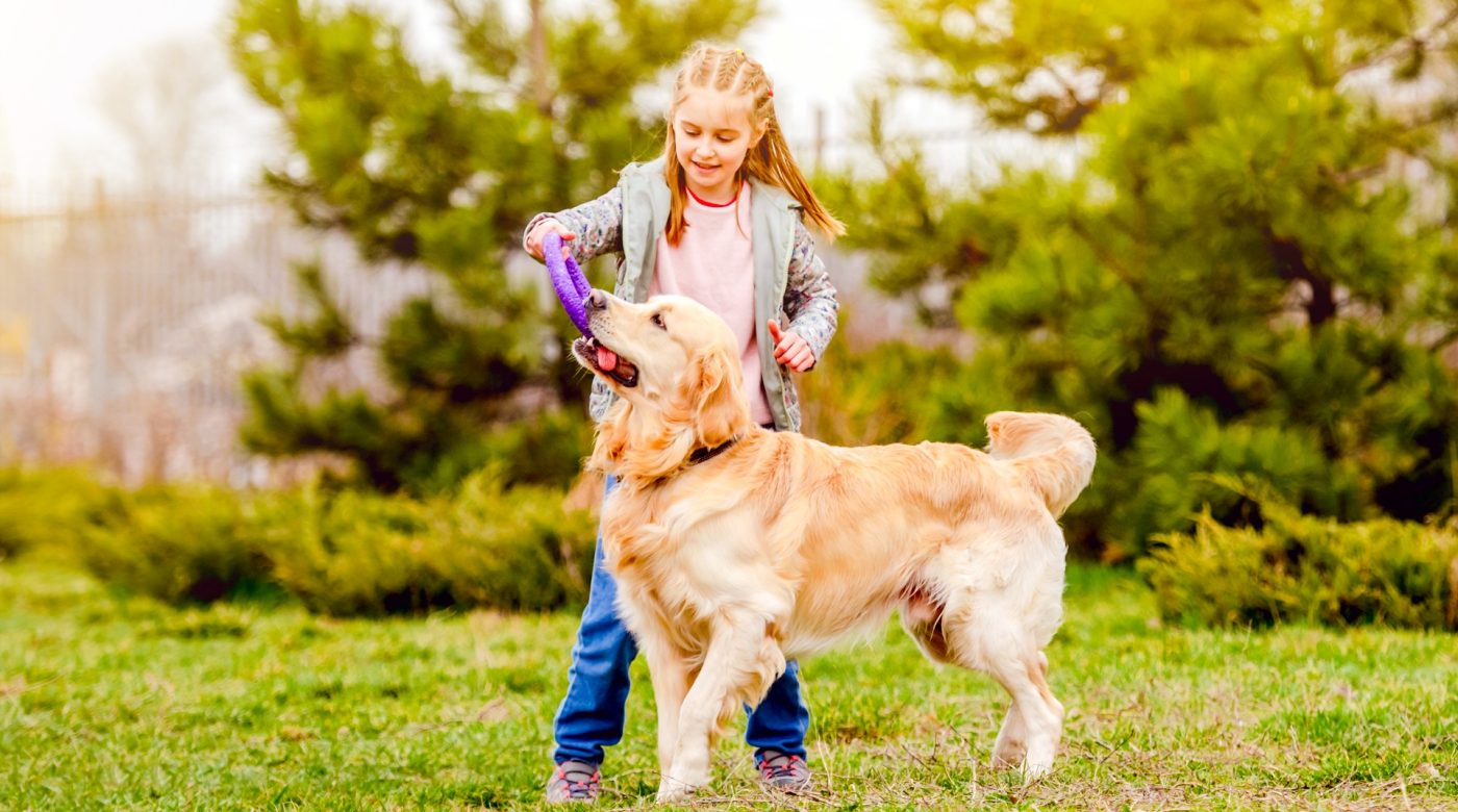 Girl playing outdoors with a Golden Retriever in warm sunlight.