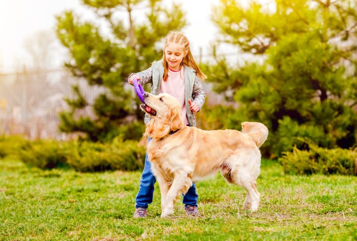 Girl playing outdoors with a Golden Retriever in warm sunlight.